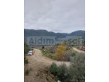 Muğla Milas Kayabükü'nde 2.700m2 Narenciye Bahçesi