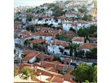 MUĞLA MENTEŞEDE SATILIK ZEYTİNLİ TARLA