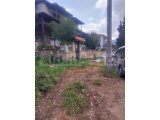 BEYPINARIN'DA YOLA SIFIR AVLU